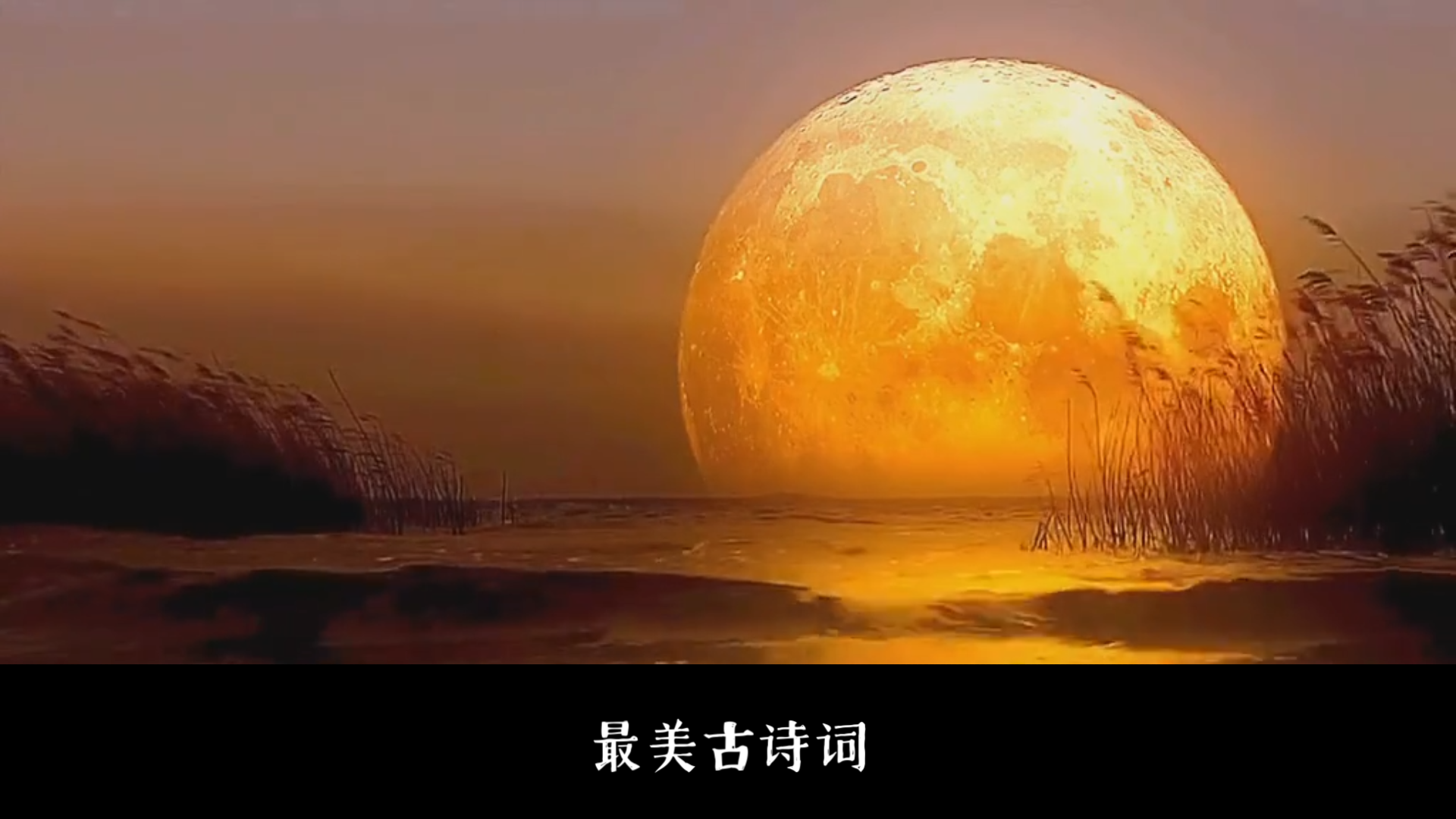 最美古诗词之《苏幕遮 碧云天》范仲淹