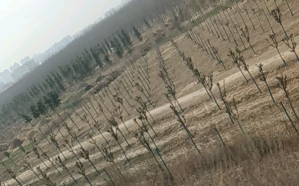 [图]高速路景