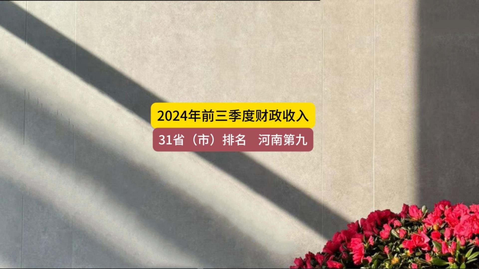 2024年前三季度财政收入,河南第九名哔哩哔哩bilibili