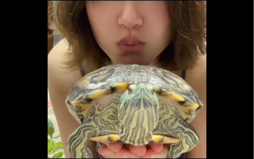 捧着个大汉堡瓜,脾气超好