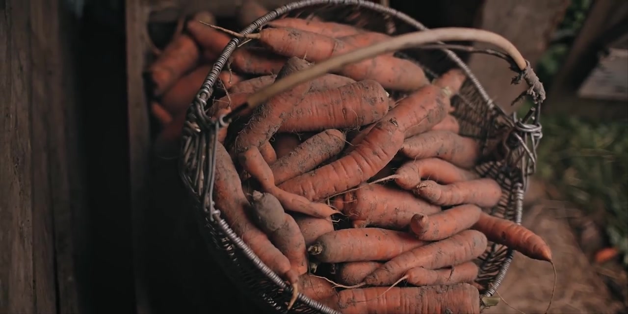 [图]【尼曼视频搬运】Grandfather. Part IV. Autumn - Harvest