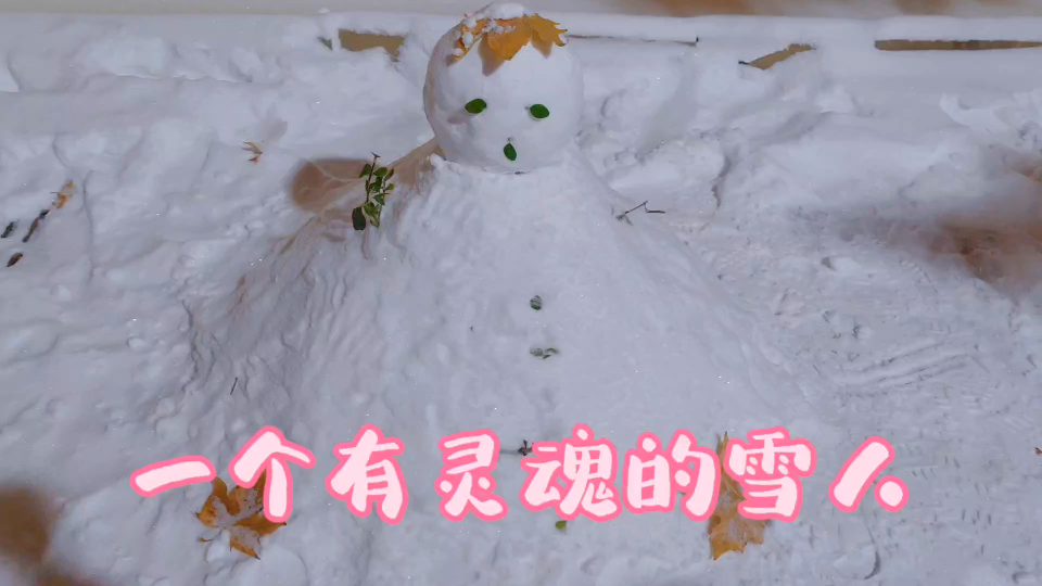 好大的雪啊!好像最近十年天津没下过这么大的雪了!哔哩哔哩bilibili