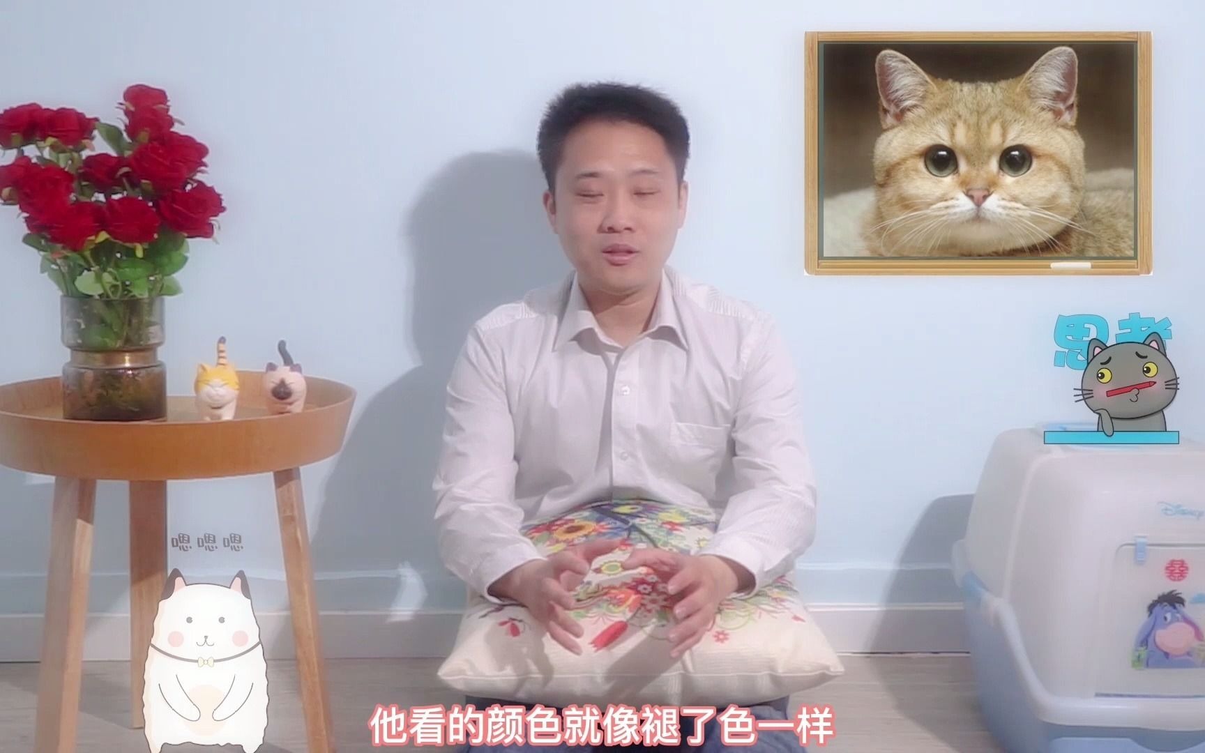 猫咪是红绿色盲?哔哩哔哩bilibili