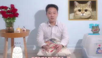 猫是色盲？_哔哩哔哩_bilibili