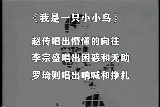 戳中70后内心的歌《我是一只小小鸟》,回味青春听懂人生值得收藏