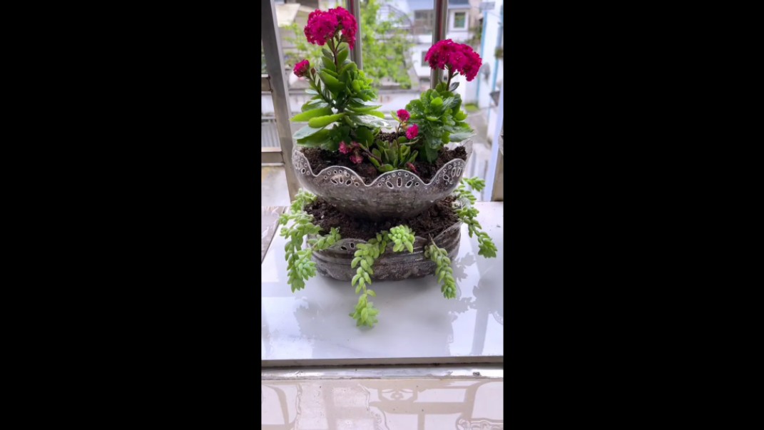 油桶做简易二层花盆,喜欢的朋友赶紧试试吧