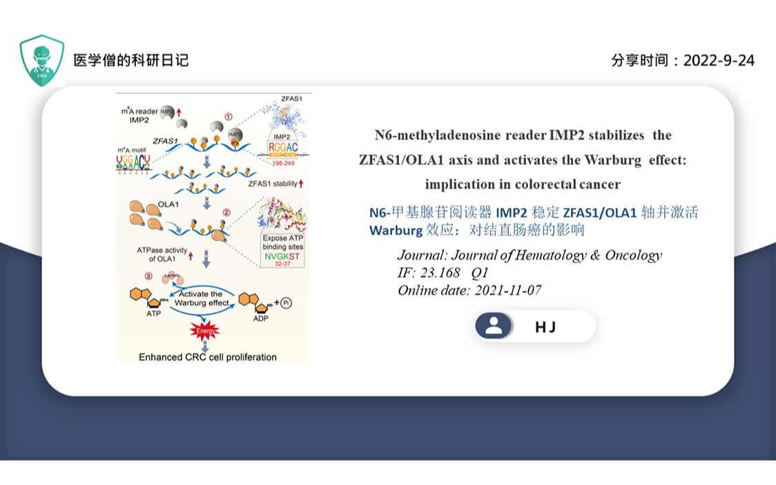 N6甲基腺苷阅读器 IMP2 稳定 ZFAS1/OLA1 轴并激活 Warburg 效应:对结直肠癌的影响哔哩哔哩bilibili