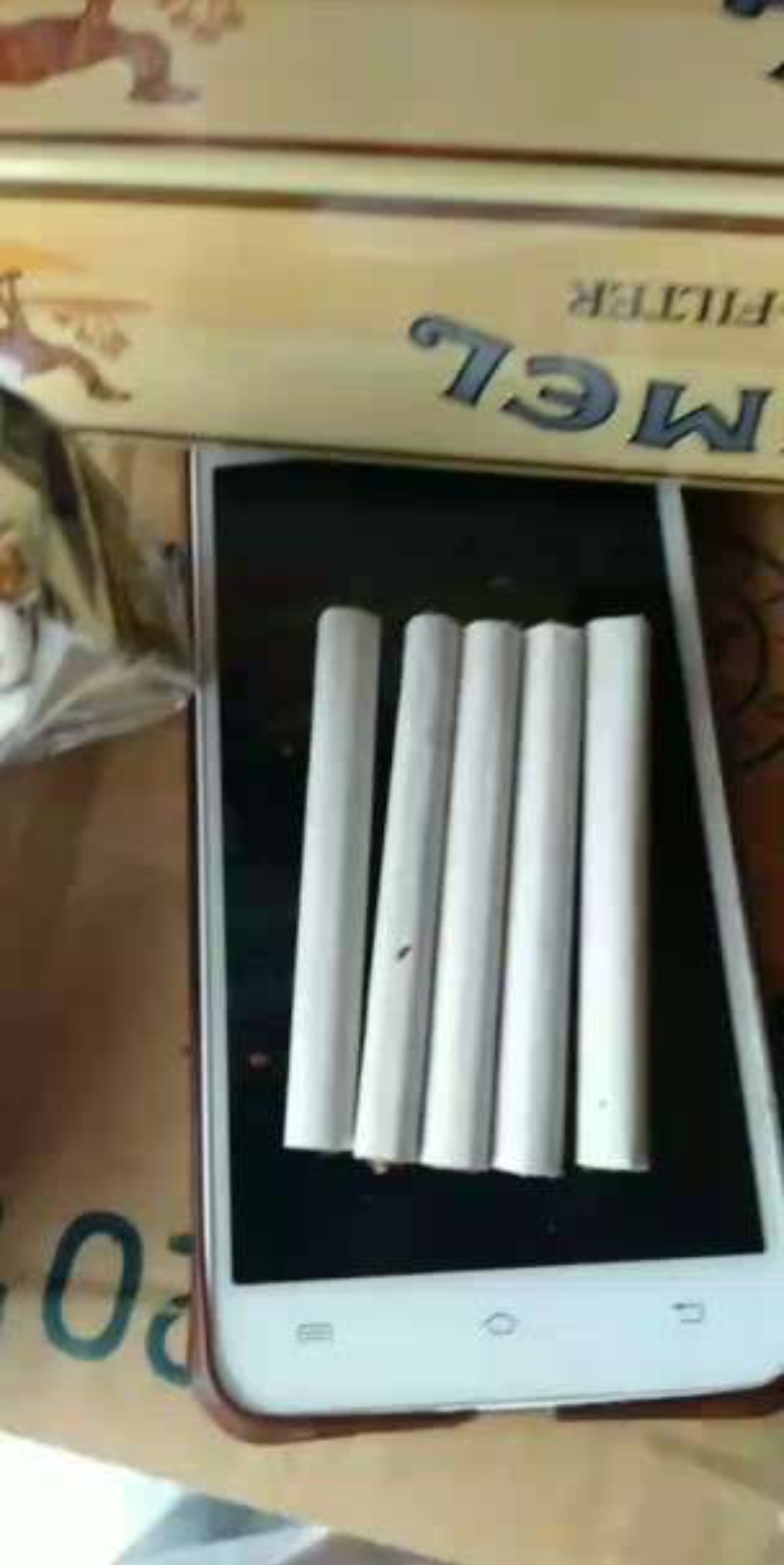 欧盟无嘴骆驼