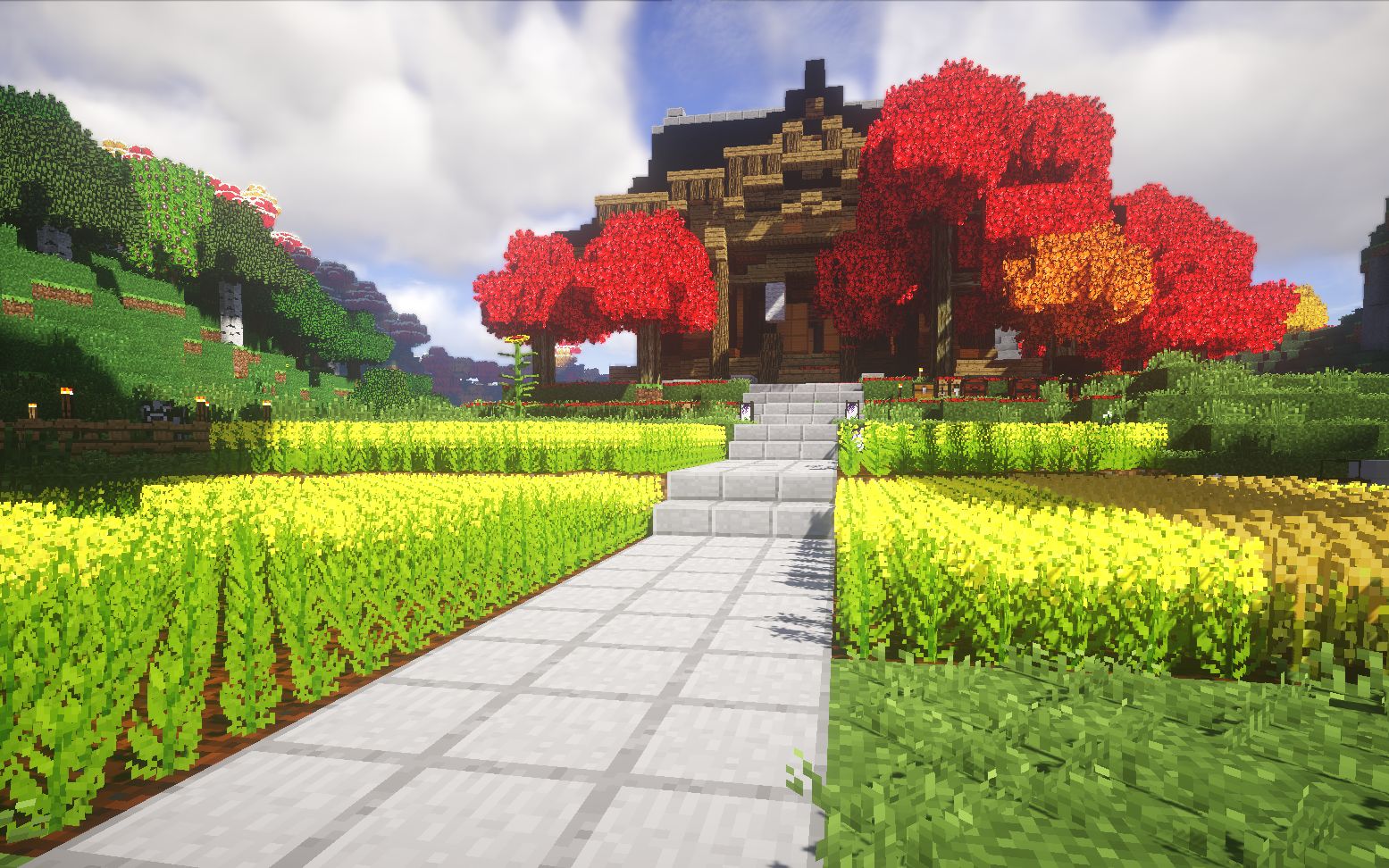 枫树和竹入门篇4枫树mapletree和竹bamboo