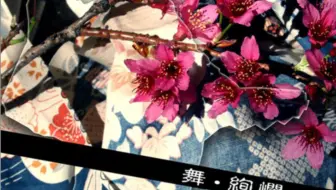 音炫疯 唯舞独尊 沈筑婷 Greensleeves 绿袖子 经典打击模式特级5 5级s 手元 哔哩哔哩bilibili