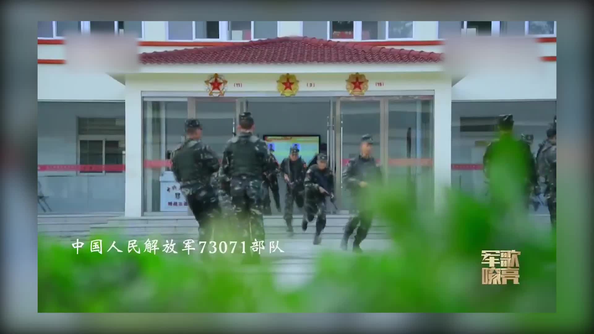 [图]当和平鸽飞过家乡 又看见军旗在风中飞扬 那一抹绿