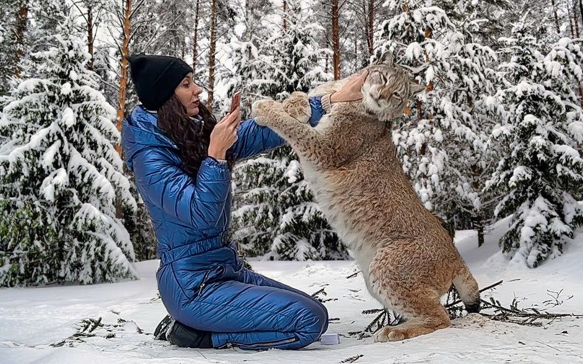 【猞猁姐姐】20230205--姐姐在雪中撸猞猁,真惬意(4k60p)