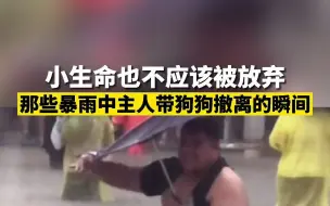 Скачать видео: 小生命也不应该被放弃 那些暴雨中主人带狗狗撤离的瞬间