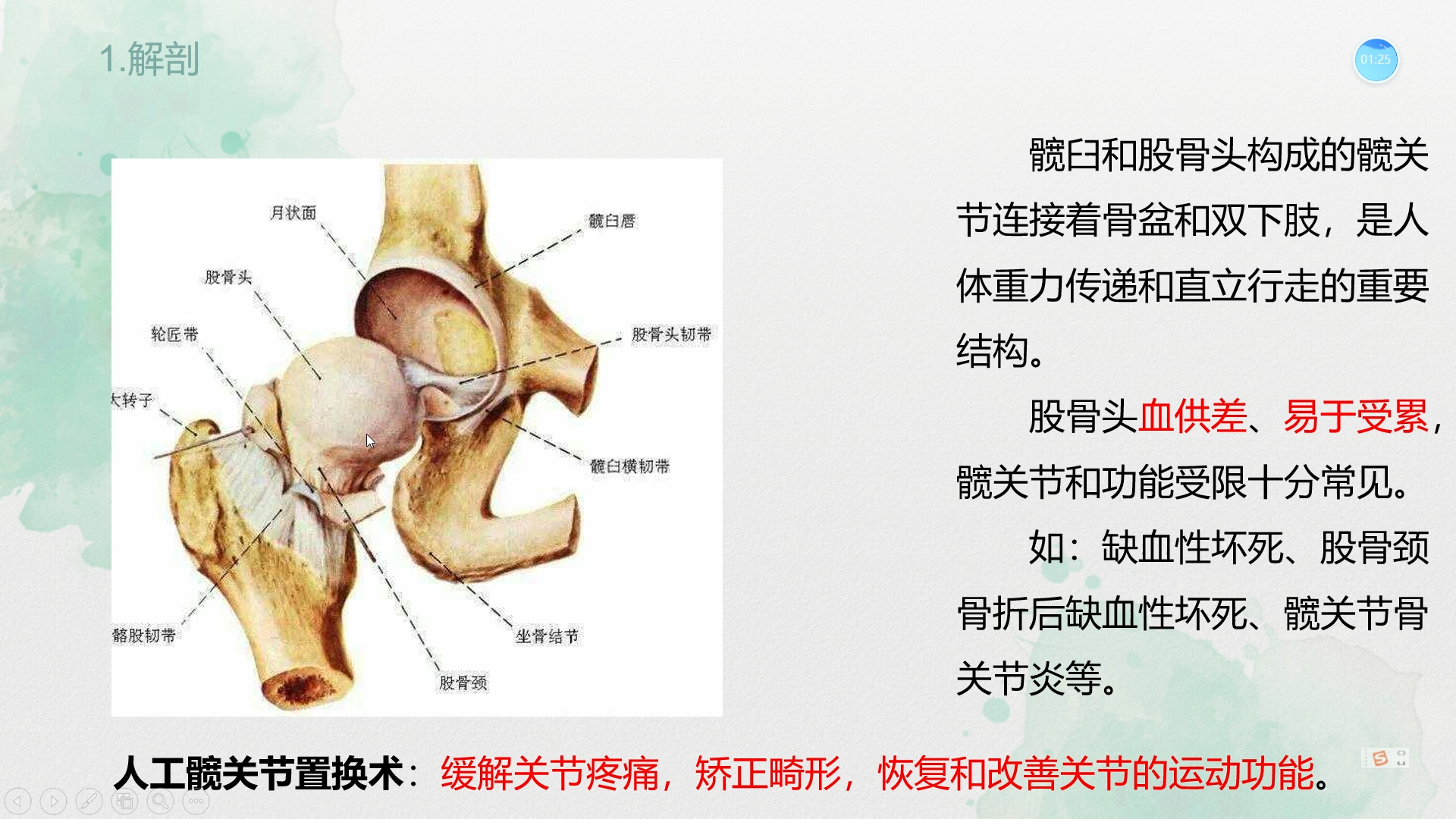 髋关节置换术后的康复治疗