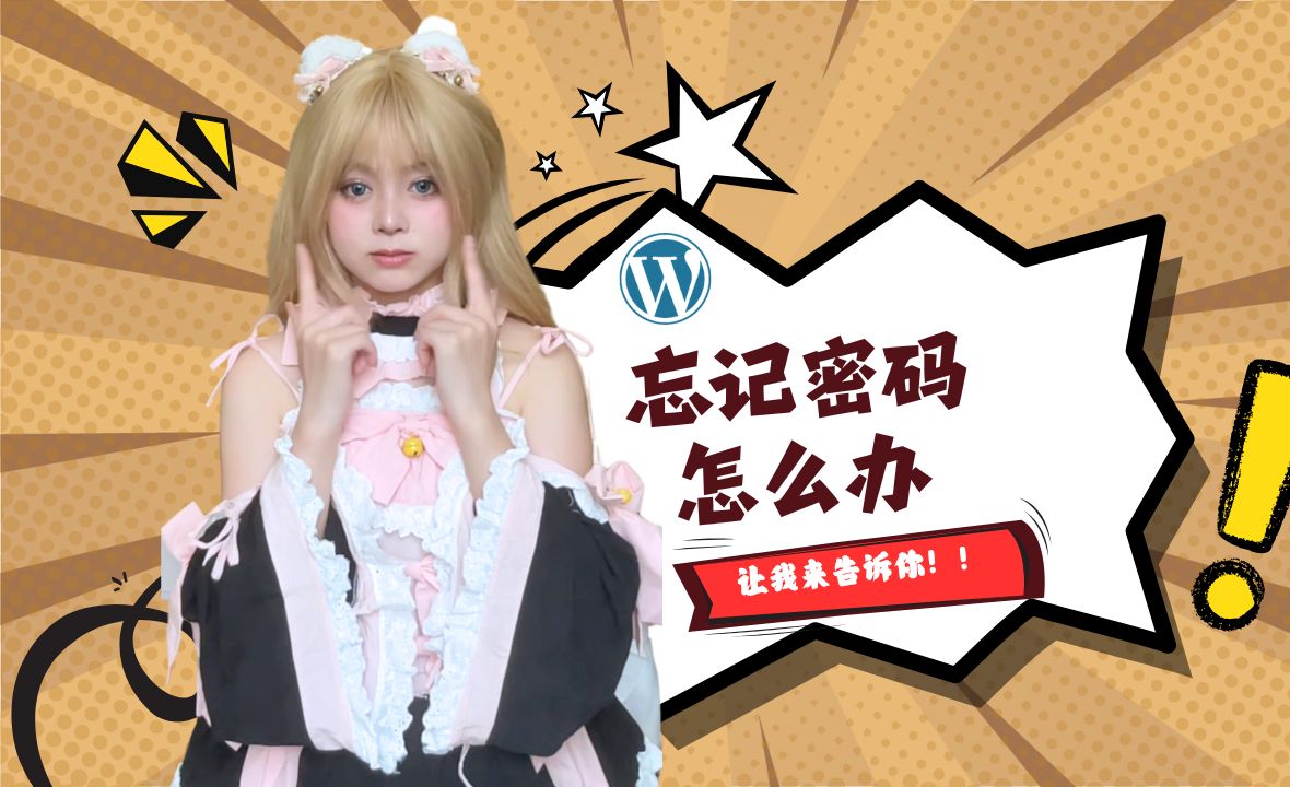 wordpress密码忘记了怎么办?哔哩哔哩bilibili