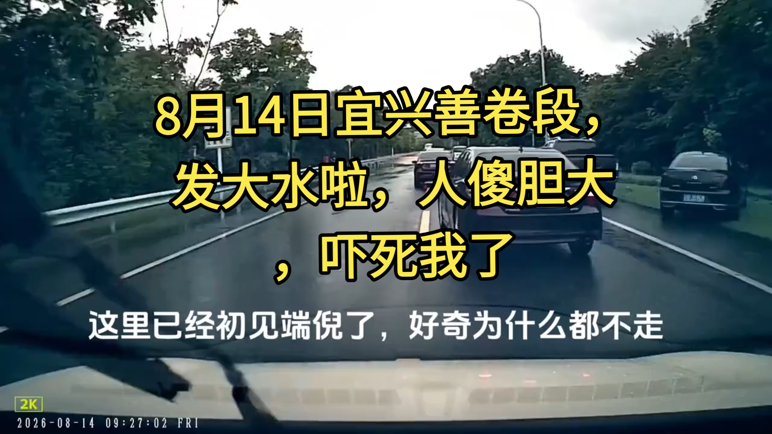 8月14日宜兴善卷段，发大水啦，人傻胆大，吓死我了#车船税就是这么来的