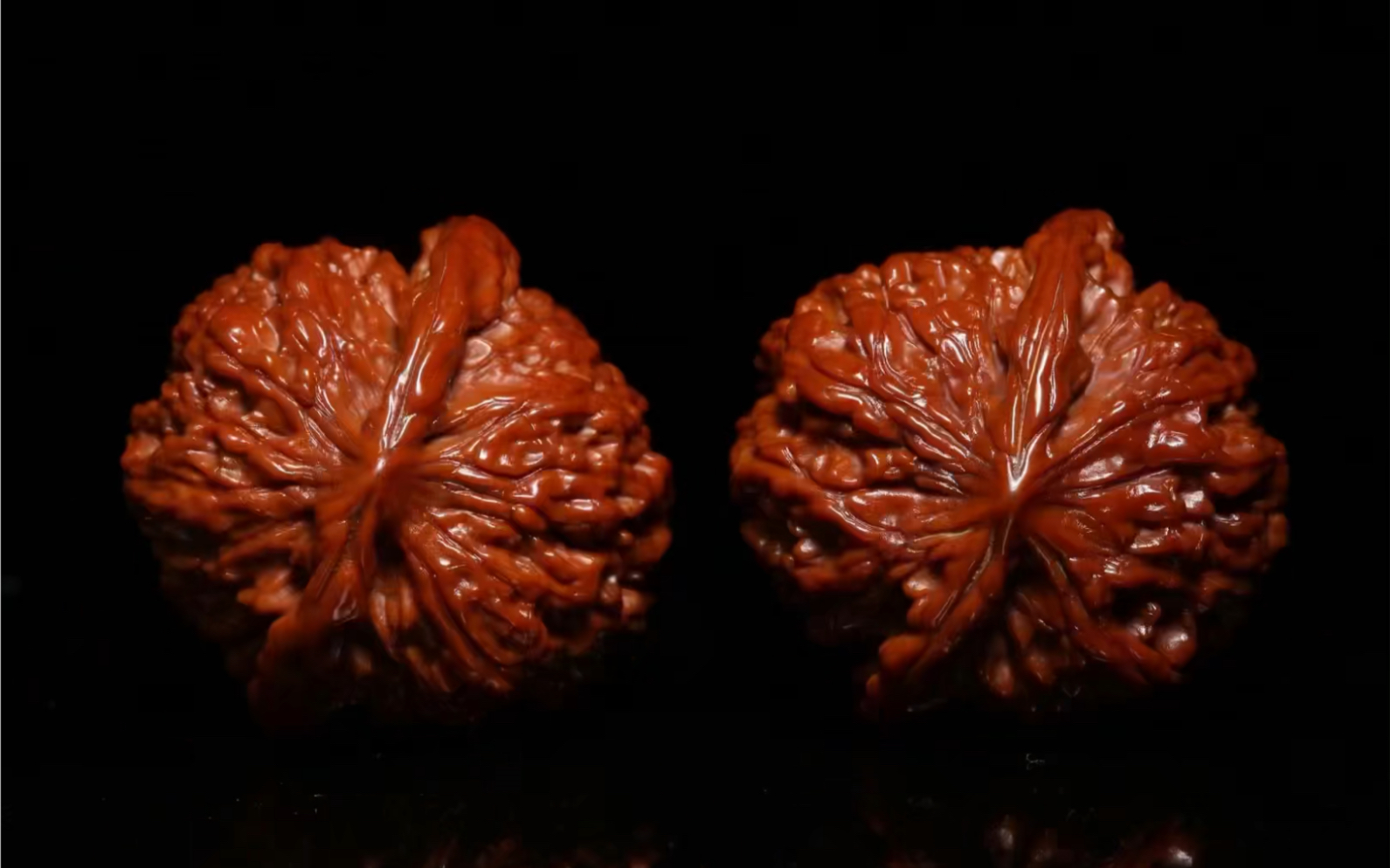 【野生 和尚头】野生秦岭和尚头,超级小众野生,盘玩6年,当年的极品对