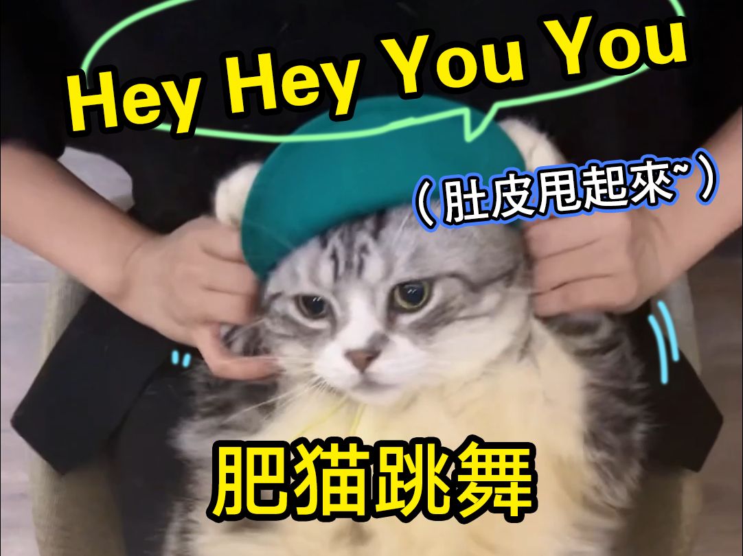 Hey hey you you跳舞猫! #heyheyouyou #catdance #跳舞猫 #肥猫跳舞 #p87gaming哔哩哔哩bilibili