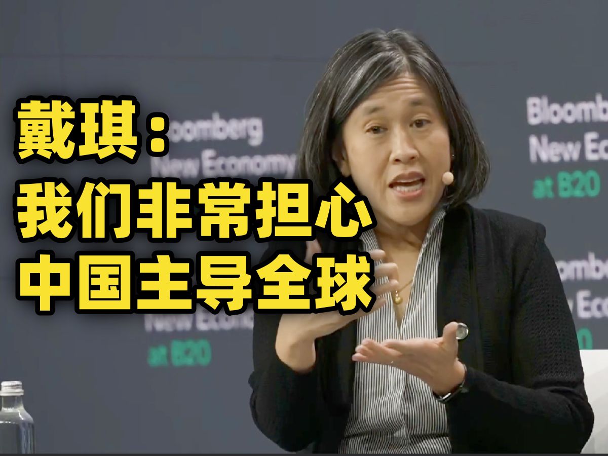 美国贸易代表戴琪:我们一直对中国日益增长的全球经济主导地位表示担忧 [中英双语 听力材料]哔哩哔哩bilibili