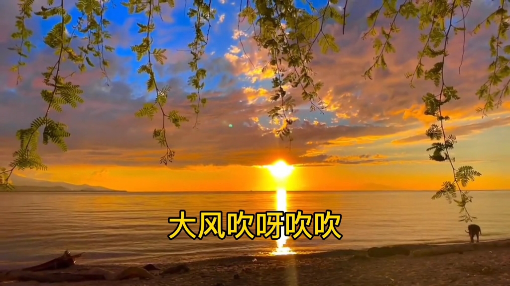 大风吹
