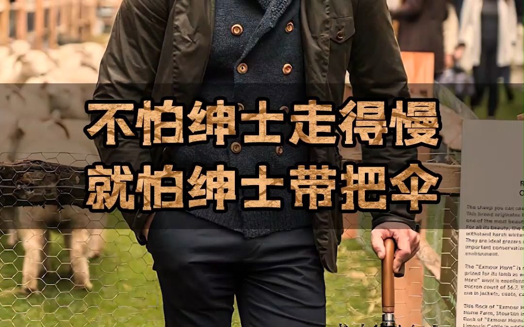 在电影中很能打的巴顿术,到底什么来头?哔哩哔哩bilibili