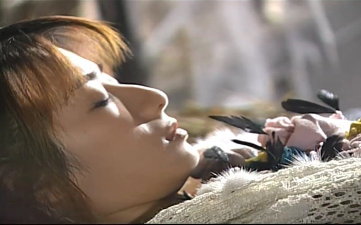 风云2第二梦一觉醒来居然回到了断情居真是有线的风筝飞不远