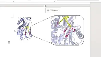 Pymol-分子对接可视化分析(上)-傻瓜式教程