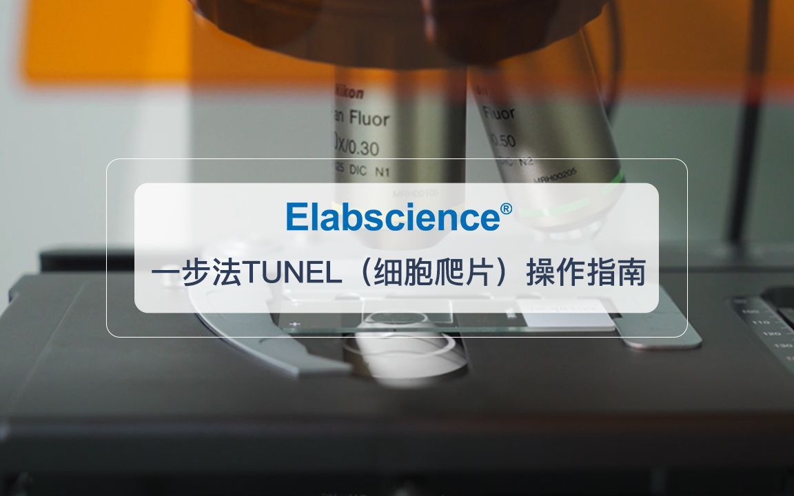 Elabscience一步法TUNEL(细胞爬片)样本的操作指南哔哩哔哩bilibili