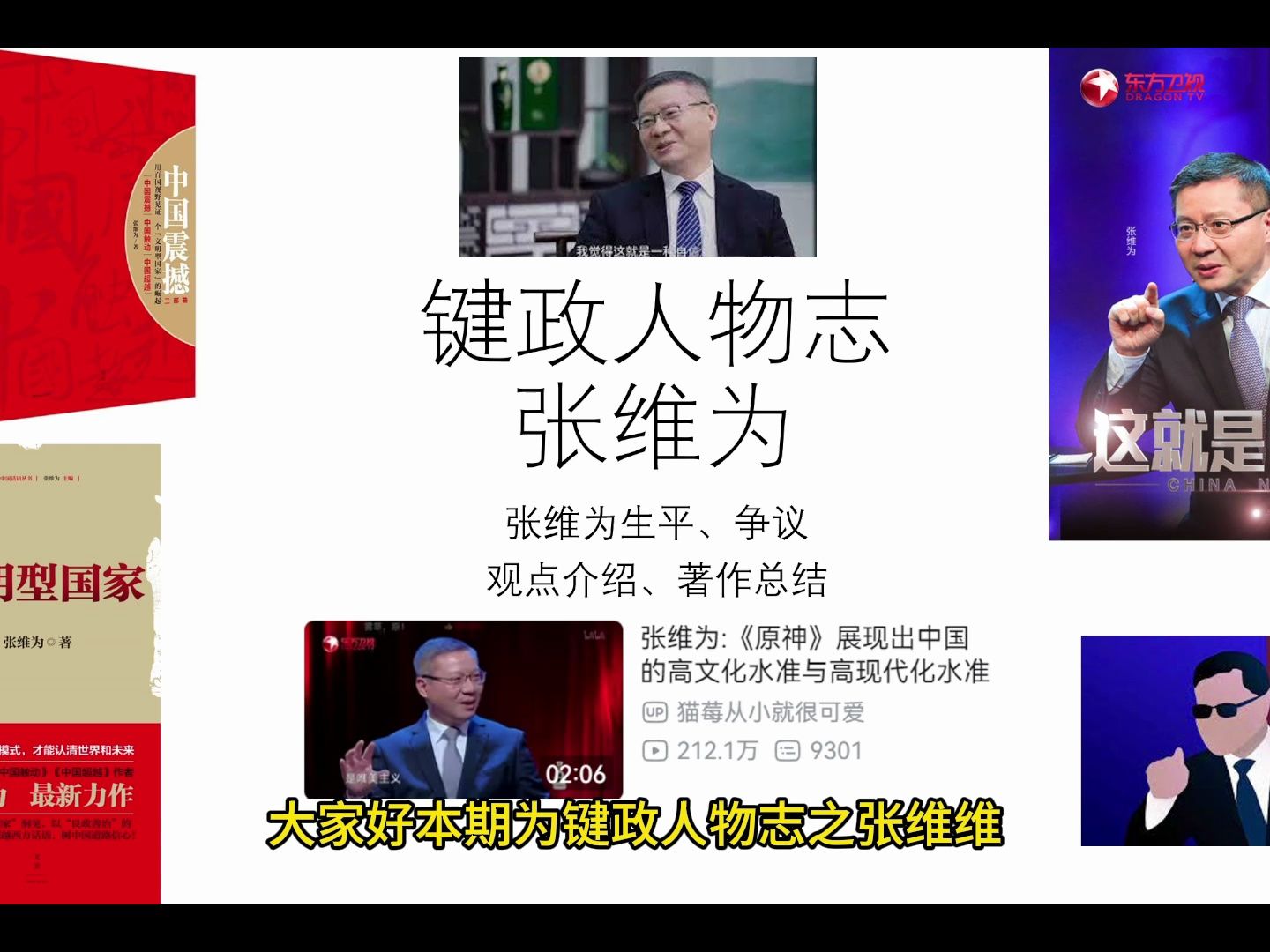 键政人物志：张维为-MHYYYY-MHYYYY-哔哩哔哩视频