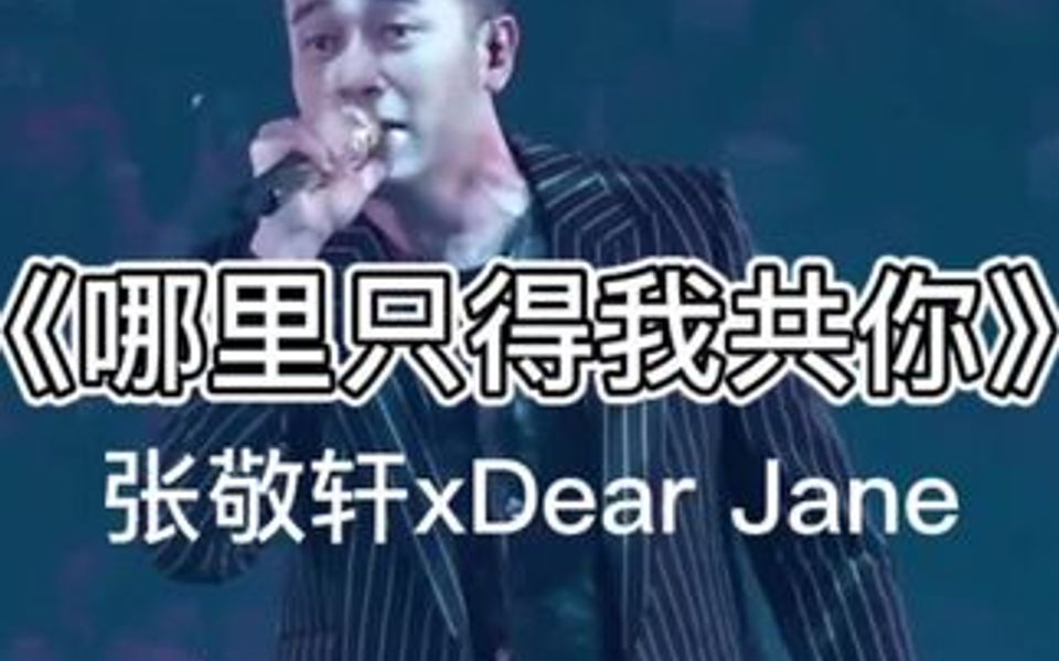 限定组合Dear Cheung《逃离人类荒谬》哔哩哔哩bilibili