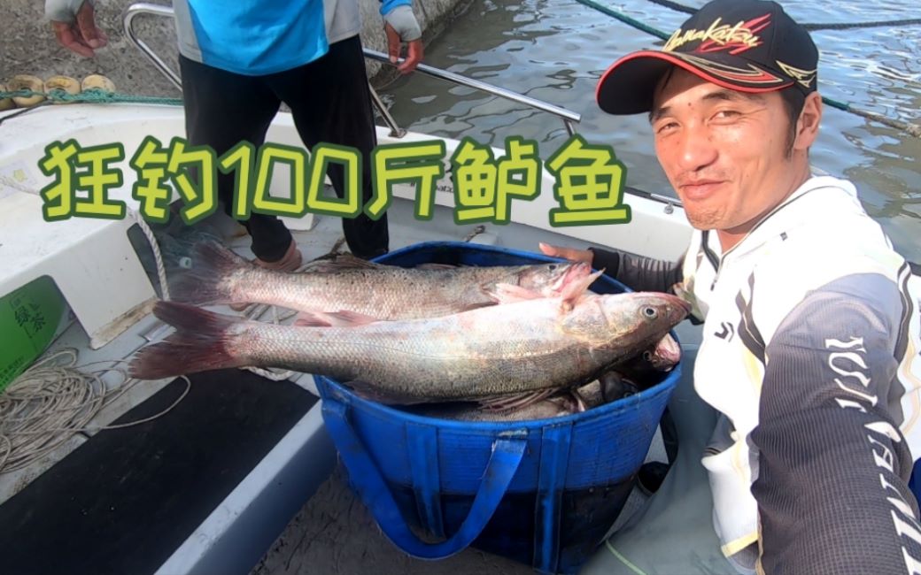 衢山岛海钓鲈鱼买100块钱活虾钓了100多斤鲈鱼能卖4000多