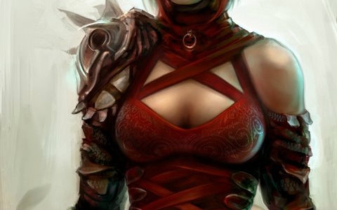 【异域镇魂曲】啰嗦向流程解说016