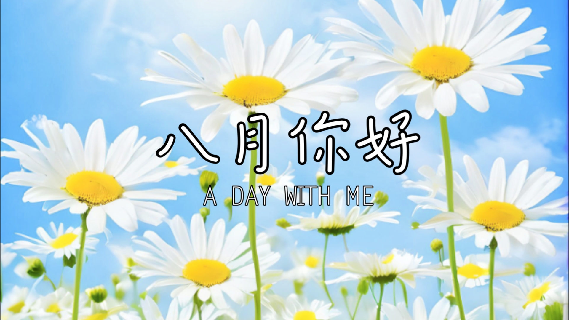 八月你好,新的一天重新开始,预祝奥运健儿们取得佳绩