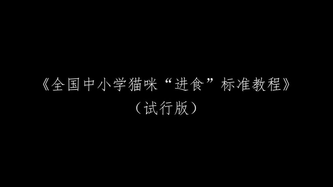 《中小学喵咪“进食”标准教程》,建议全国推广!哔哩哔哩bilibili