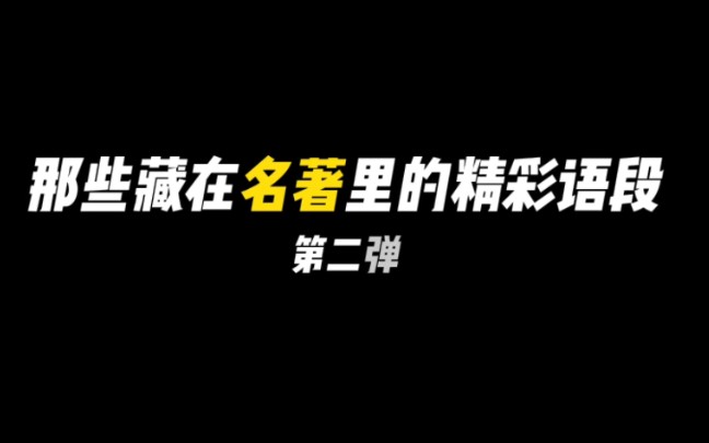 【作文素材】要读适合自己的书,而不要在质量不佳的图书上浪费过多的时间和精力.哔哩哔哩bilibili