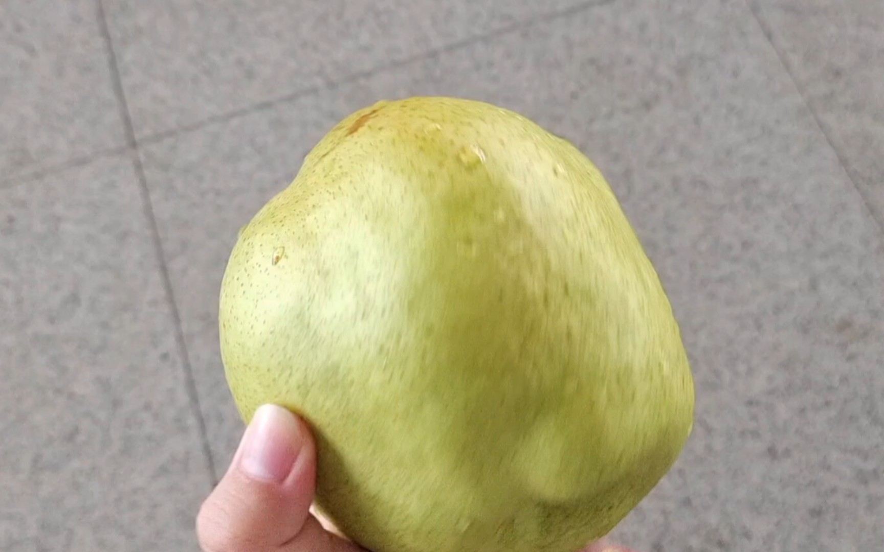 吹爆山西临汾隰县玉露香梨,又脆又甜,汁水丰沛