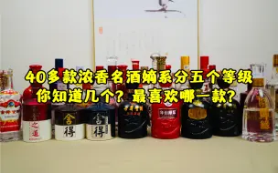 Download Video: 40多款浓香名酒嫡系分五个等级，你知道几个？最喜欢哪一款？