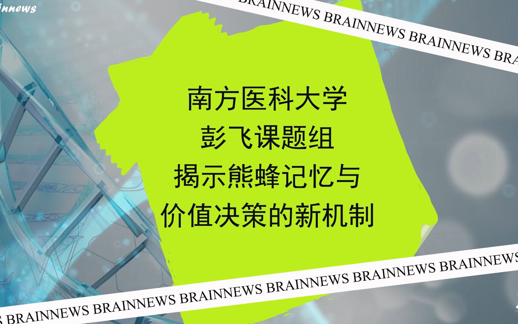 #Brainnews 【前沿快讯】eLife: 南方医科大学彭飞课题组揭示熊蜂记忆与价值决策的新机制哔哩哔哩bilibili