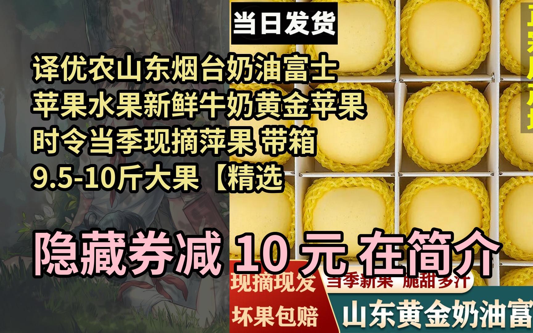 【限时券】译优农山东烟台奶油富士苹果水果新鲜牛奶黄金苹果时令当季现摘萍果 带箱9.510斤大果【精选装】哔哩哔哩bilibili