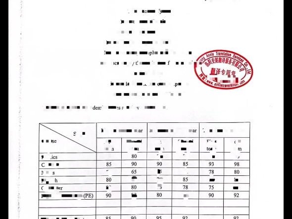 大学成绩单 中译英#翻译?莫急!找安妮!哔哩哔哩bilibili