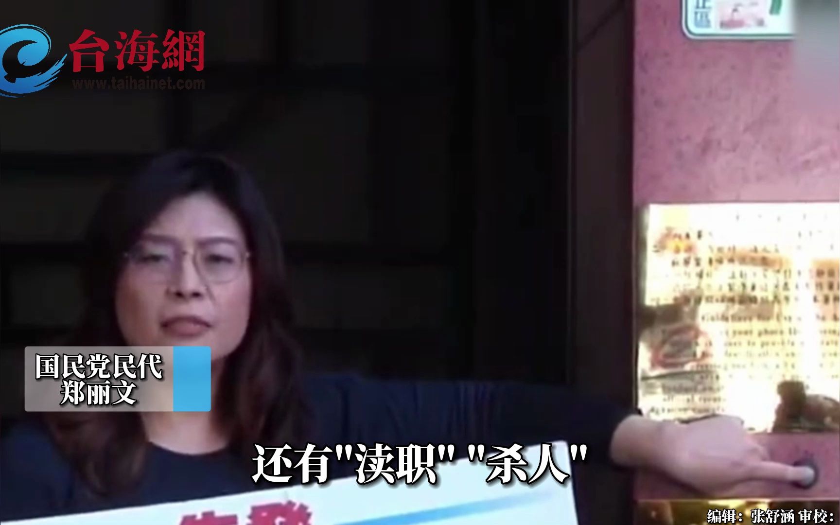 国民党"女战神"指控蔡英文等4人犯渎职、杀人等罪
