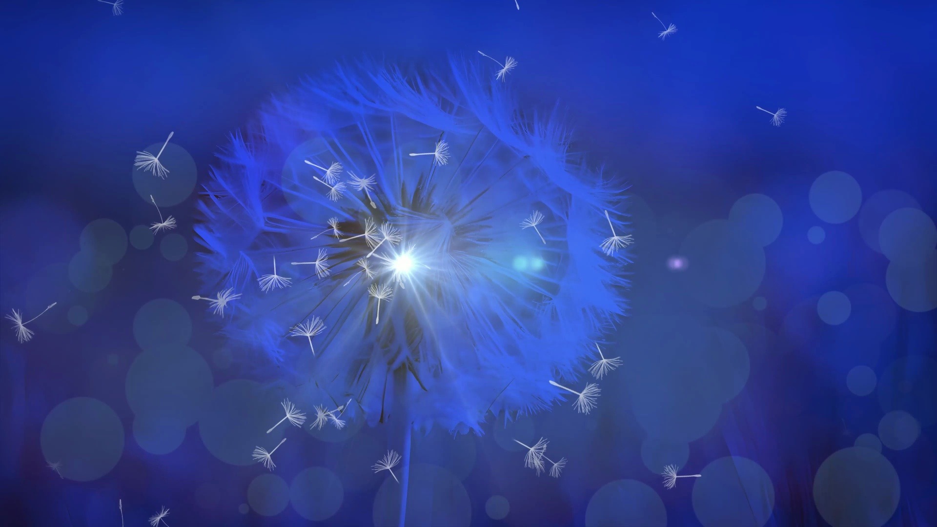 (u1jr)小虎队庸人自扰配乐4k舞台背景视频