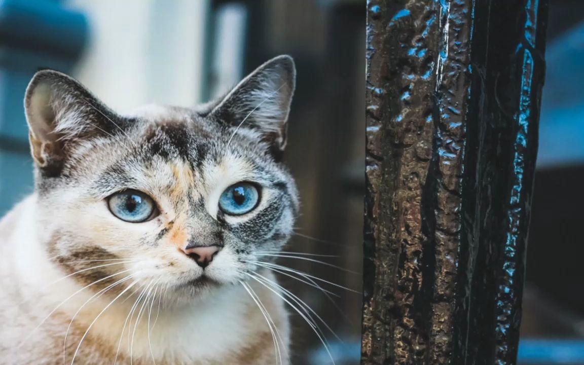 chris james - not angry 伴奏 原版无损hi-res伴奏 超清无损高音质