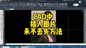CAD中插入图片永不丢失的两种方法，发给别人也能依然显示图片！