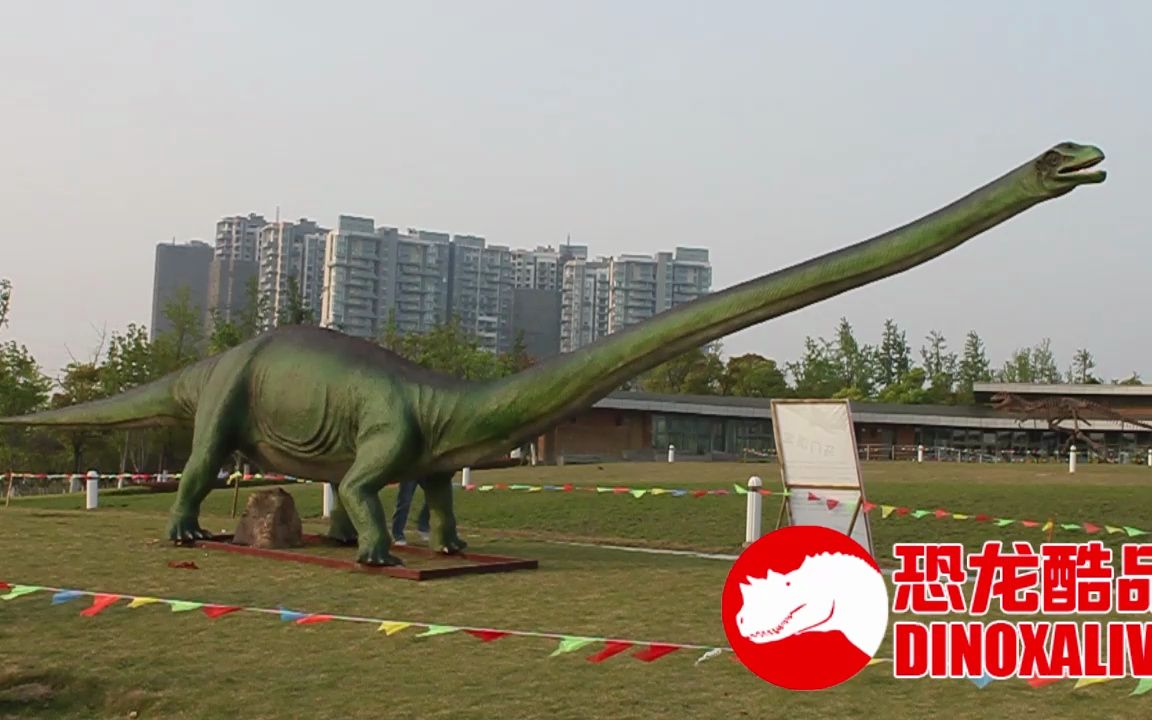 仿制巨型马门溪龙模型 - 户外长颈恐龙模型产品