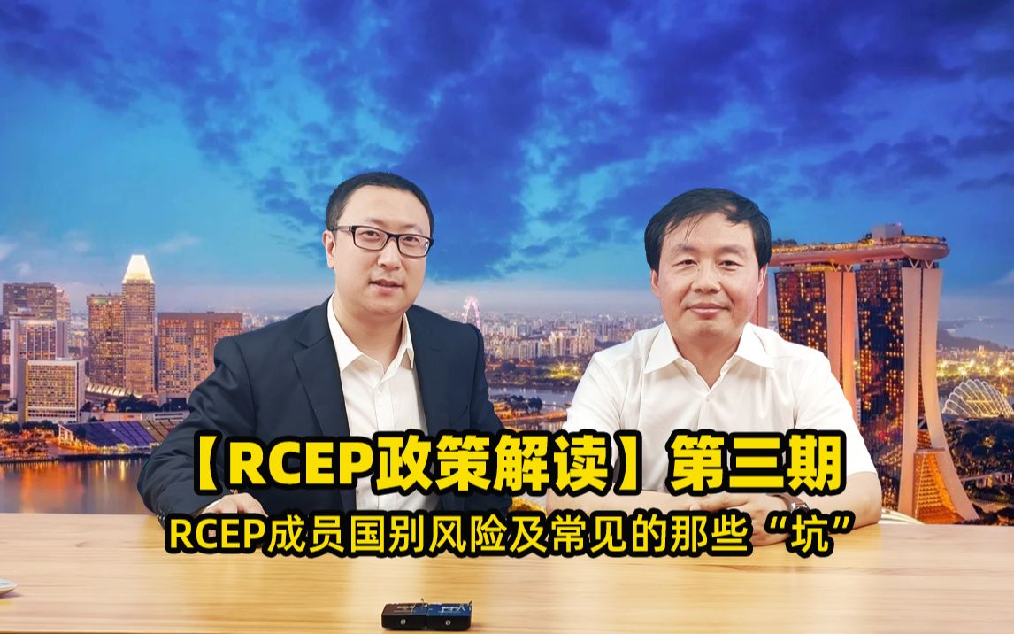 RCEP政策解读第三期RCEP成员国别风险及常见的那些“坑”哔哩哔哩bilibili