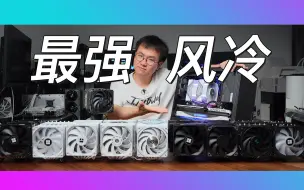 Download Video: 测了十一款双塔风冷散热器后 我发现...