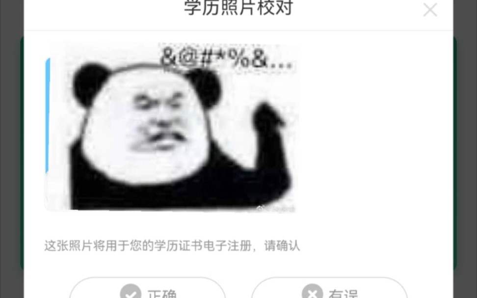 这毕业证书也不是很想要了哔哩哔哩bilibili