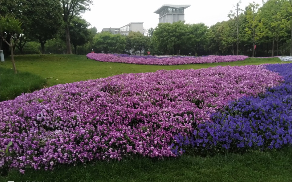 这个公园真的美丽,大家来看看.