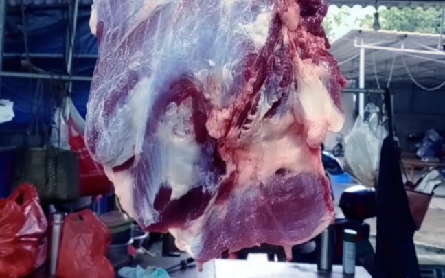 海南 定安 仙沟动动牛肉 会跳舞的牛肉
